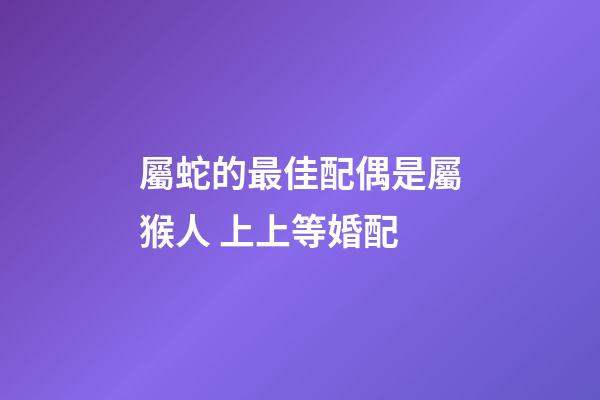 屬蛇的最佳配偶是屬猴人 上上等婚配